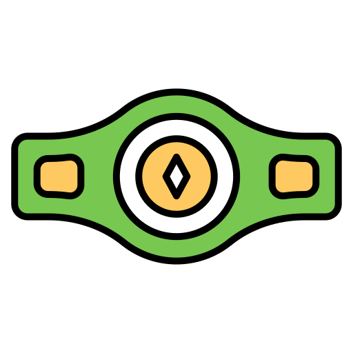 Belt Generic Outline Color icon