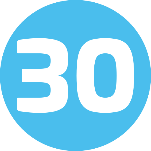 30 Generic Flat icon