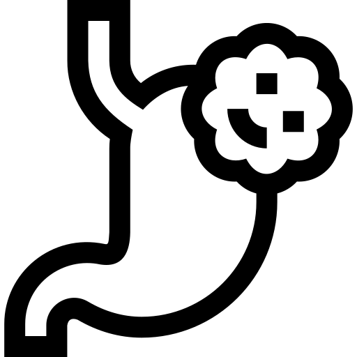 estomac Basic Straight Lineal Icône