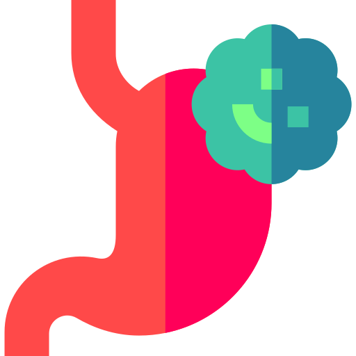 Stomach Basic Straight Flat icon