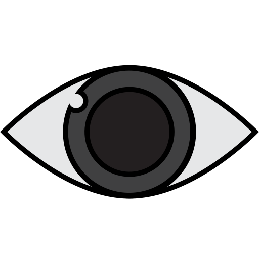 Eye Generic Outline Color icon