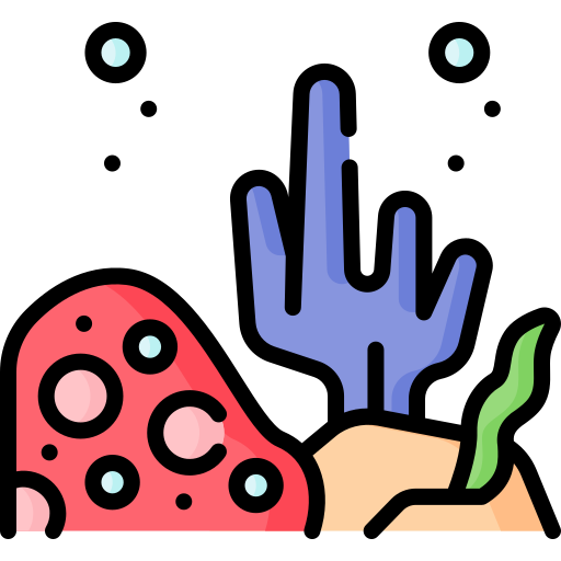 サンゴ礁 Special Lineal color icon