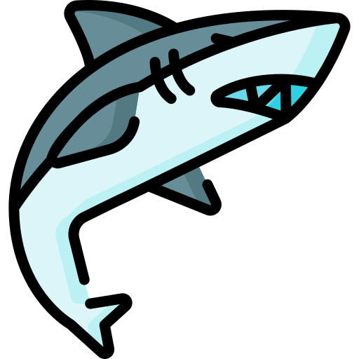 Shark Special Lineal color icon