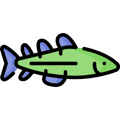 bacalao Special Lineal color icono
