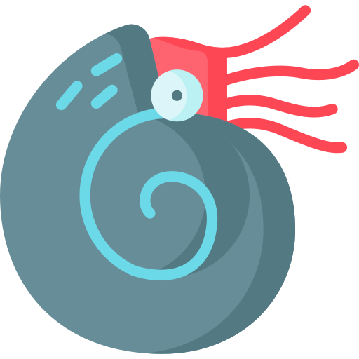Nautilus Special Flat icon