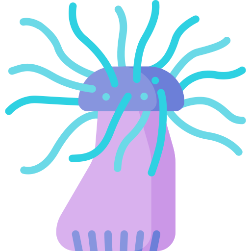 seeanemone Special Flat icon