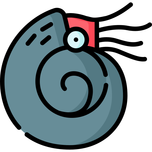 nautilus Special Lineal color icon