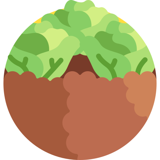 Cabbage Detailed Flat Circular Flat icon