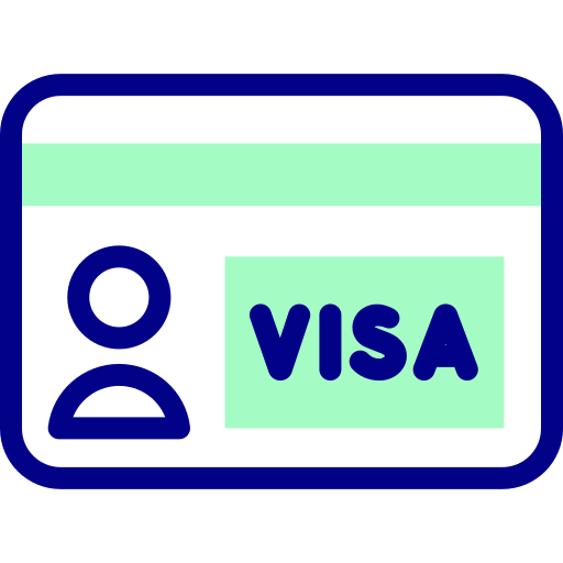 visa Detailed Mixed Lineal color icoon