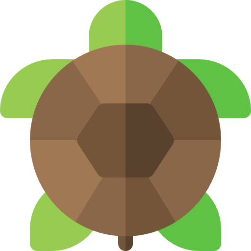 schildkröte Basic Rounded Flat icon