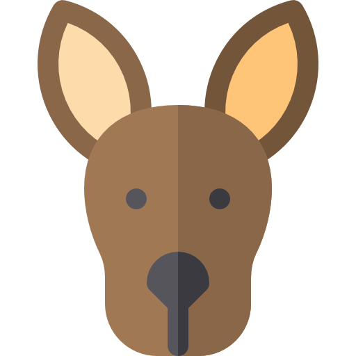 känguru Basic Rounded Flat icon