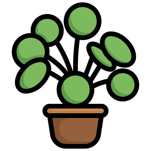 Chinese money plant Generic Outline Color icon