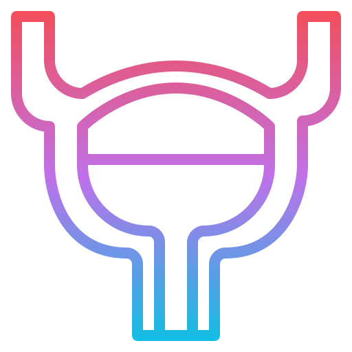 膀胱 Iconixar Gradient icon