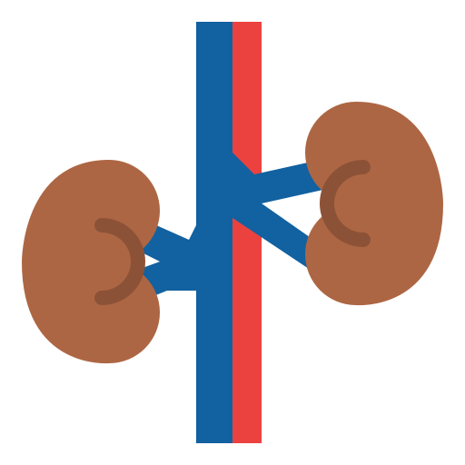 Kidney Iconixar Flat icon