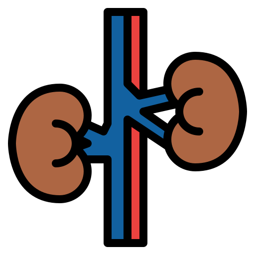 腎臓 Iconixar Lineal Color icon