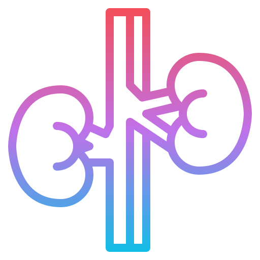 Kidney Iconixar Gradient icon