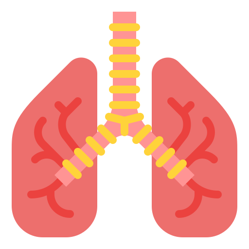 pulmones Iconixar Flat icono