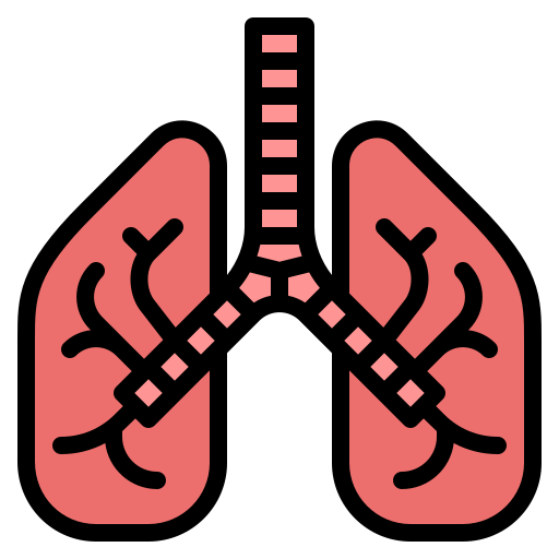 Lungs Iconixar Lineal Color icon