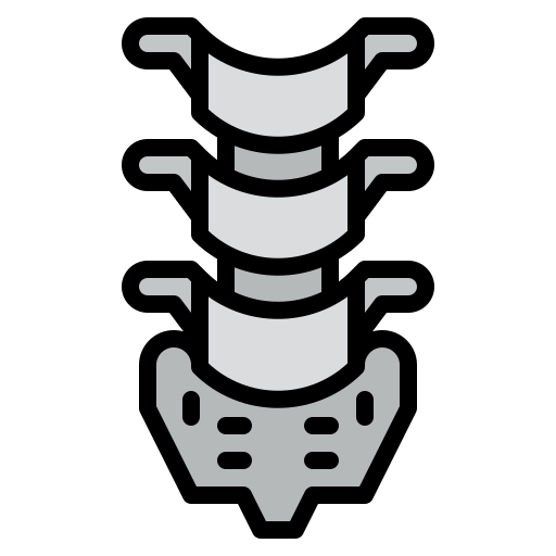 Spine Iconixar Lineal Color icon