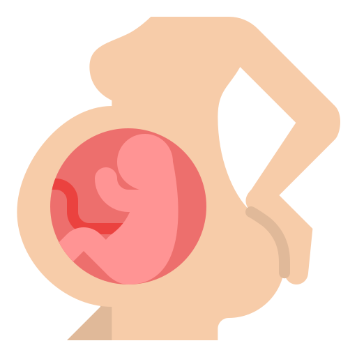 Womb Iconixar Flat icon