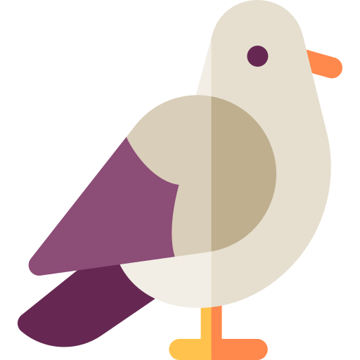 piccione Basic Rounded Flat icona