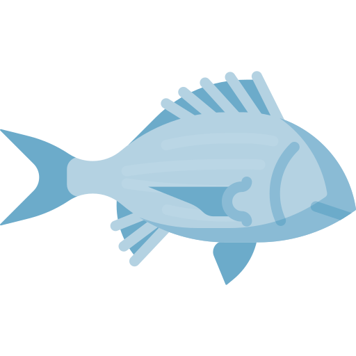 Bream Special Flat icon
