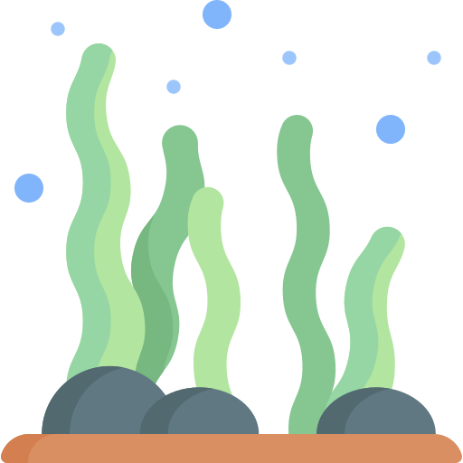 Морские водоросли Special Flat иконка