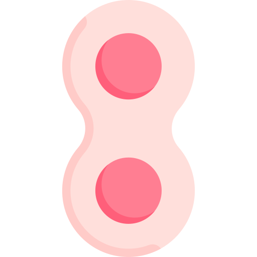 Mitosis Special Flat icon