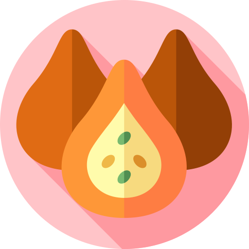 coxinha Flat Circular Flat ikona