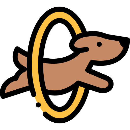 Dog competition Detailed Rounded Lineal color icon