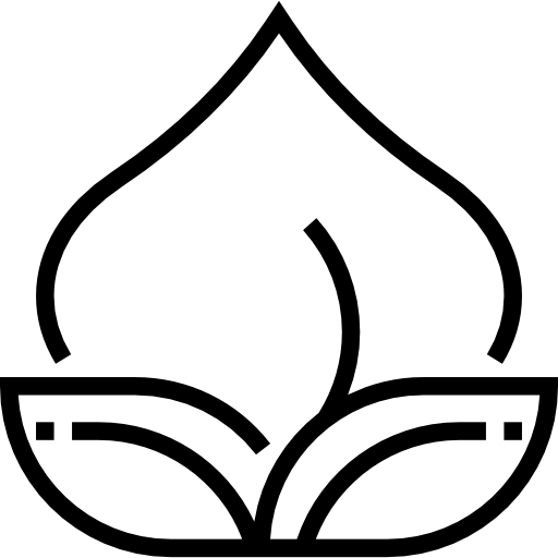 ロータス Meticulous Line icon