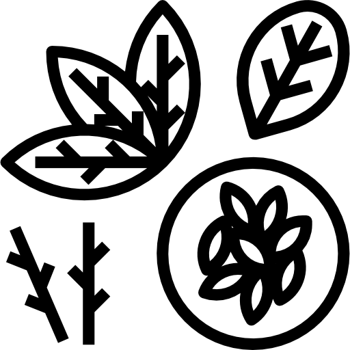 kräuter turkkub Lineal icon