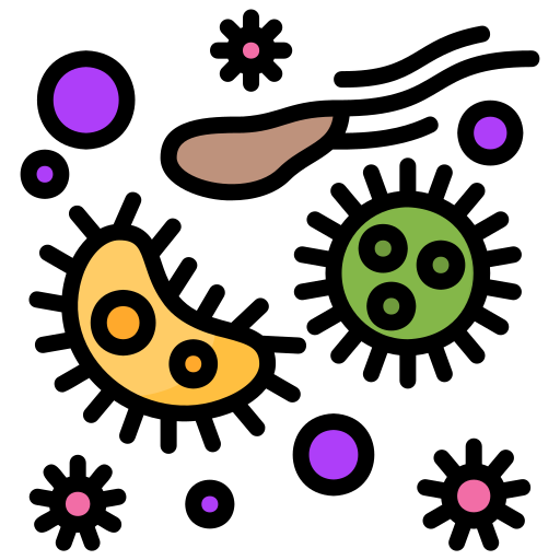 Bacteria Generic Outline Color icon