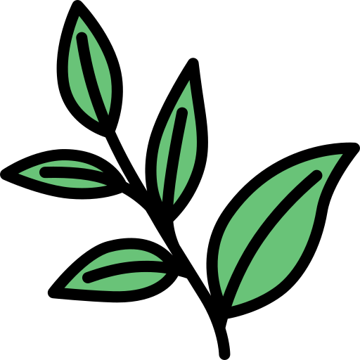 tè verde Generic Outline Color icona
