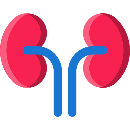 Kidneys Flaticons.com Lineal Color icon