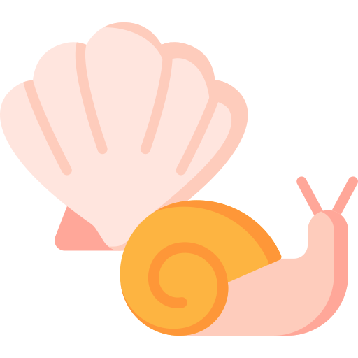 molluschi Special Flat icona