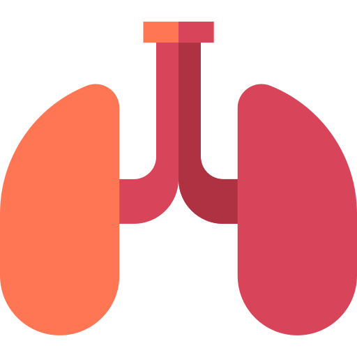 Lungs Basic Straight Flat icon
