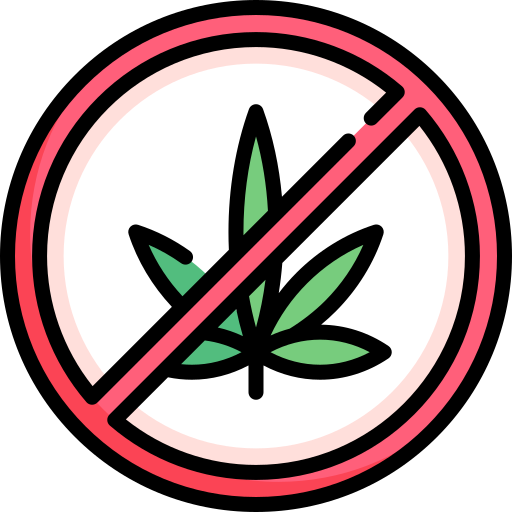 No drugs Special Lineal color icon
