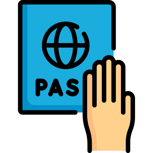 pasaporte Special Lineal color icono