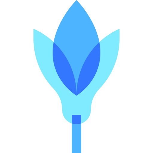 krokus Basic Sheer Flat icoon