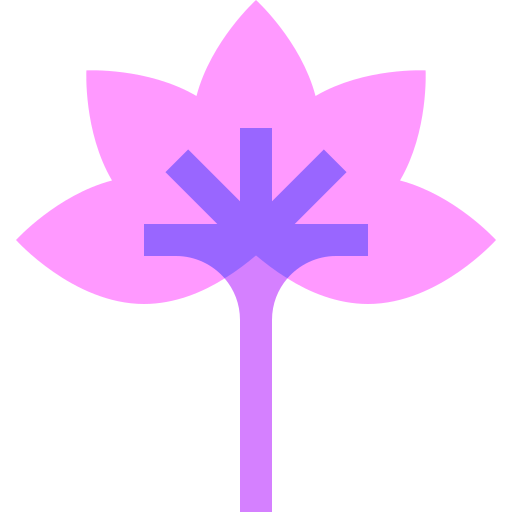 tiaré apetahi Basic Sheer Flat icono