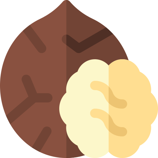 호두 Basic Rounded Flat icon