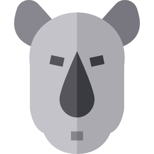 Rhino Basic Straight Flat icon