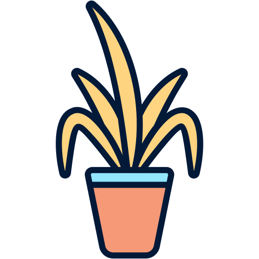 Chinese evergreen Generic Outline Color icon