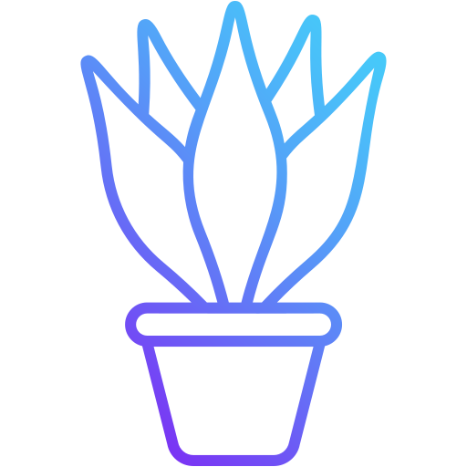 Weeping fig Generic Gradient icon