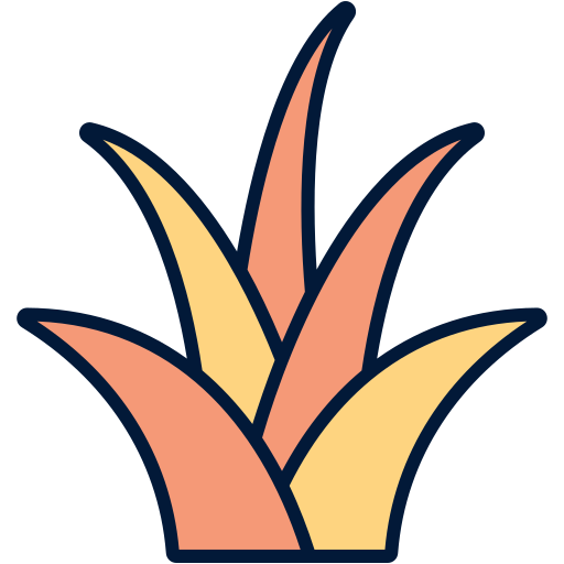 유카 Generic Outline Color icon
