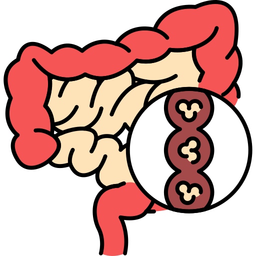 intestini Generic Outline Color icona
