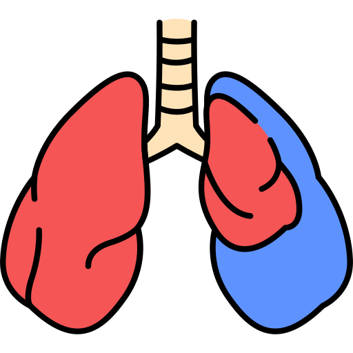polmone Generic Outline Color icona