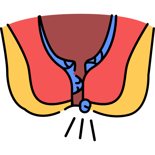 치질 Generic Outline Color icon