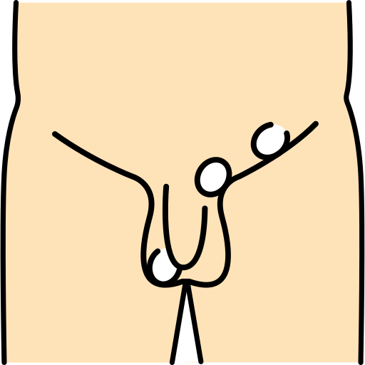 남성 장기 Generic Outline Color icon